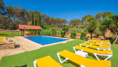 El Bosque Candy - Foto 5