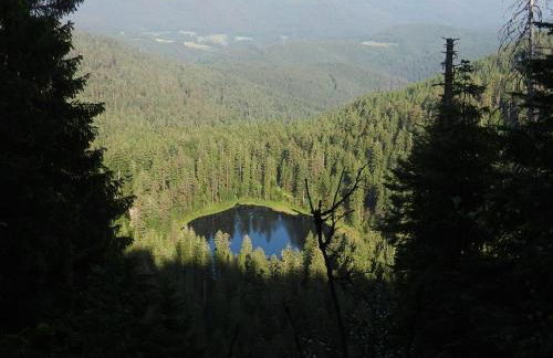 Ferienwohnungen in Schönmünzach - Photo 23