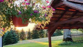 Agroturystyka U Anny - Foto 3