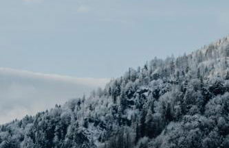 Franzl's Bergnest - Foto 1