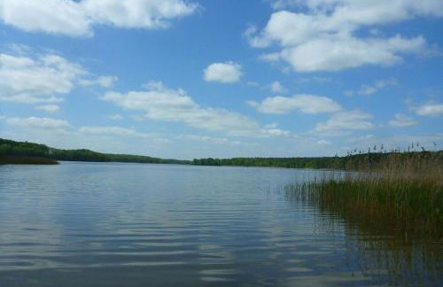 1A Ferienhaus Winter - Foto 9