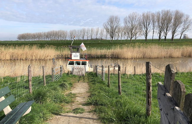 Water Villa in Ooltgensplaat Near Volkerak - Photo 41