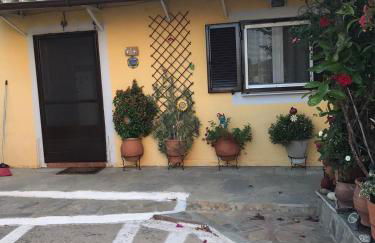 Mitsani Country House - Foto 8