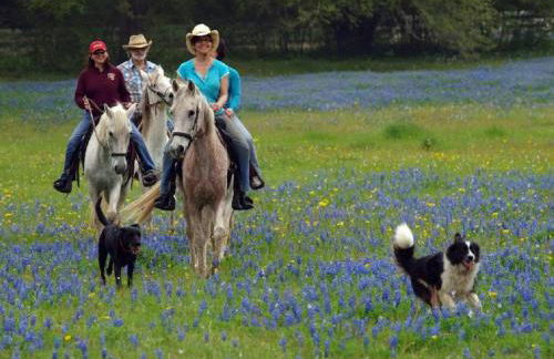 Secluded Cabin Perfect for a Romantic Getaway in Austin County, Texas - Foto 12