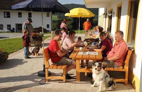 Exenbacher Hof Traumbauernhaus s´Haisl - Foto 22