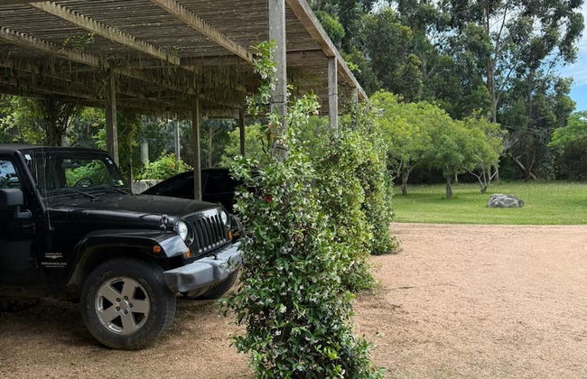 La Picarona - Foto 77