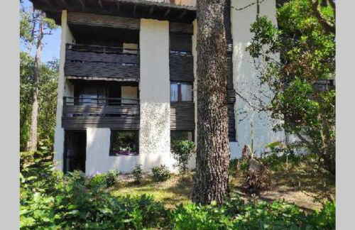 Appt Seignosse le Penon - plages commerces à pied - Foto 22