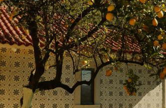 Vinte-Quinta da Boavista - Foto 47