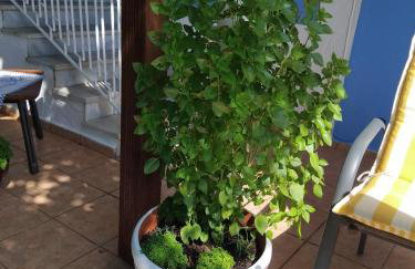 TO ARCHONTIKO La maison de ville - Foto 20