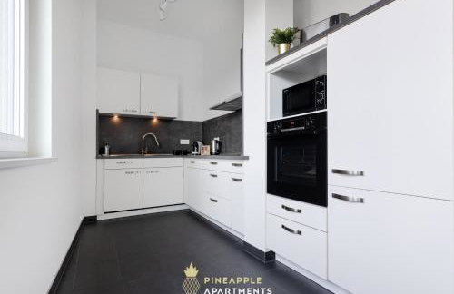 PINEAPPLE APARTMENTS - Penthouse am Zwinger - 162qm - 1x free parking - Foto 9