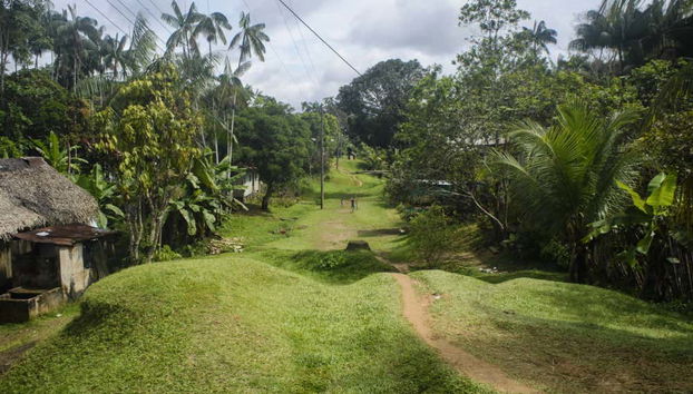 Green meadows surrounding Puerto Nariño