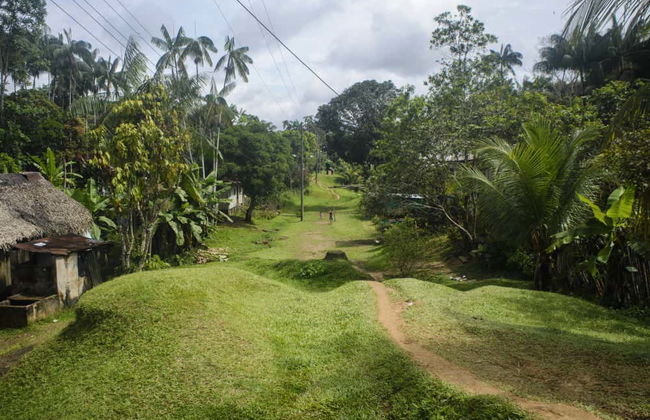 Escursione a Puerto Nariño - Foto 4