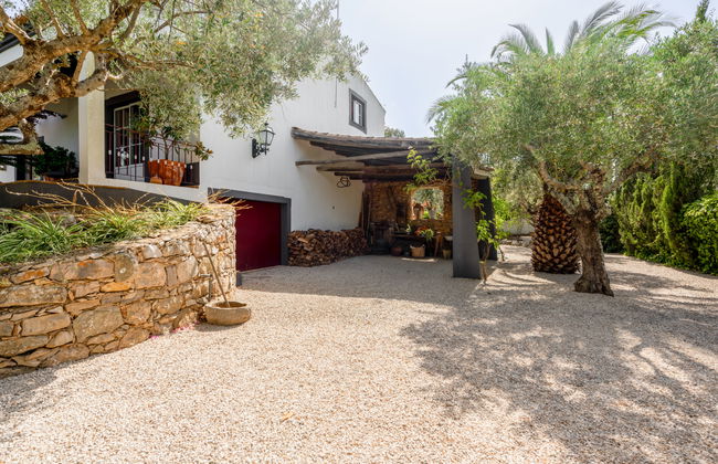 Quintal das Oliveiras - Foto 35