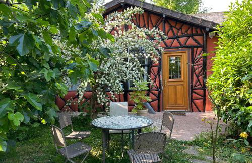 Charming independent guest house - spacious studio with terrace and garden, 25 minutes from Paris - Foto 11