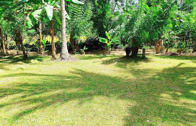 Milk House Cottage Udawalawe - Foto 19