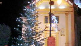 Les Passereaux 2 - Foto 3