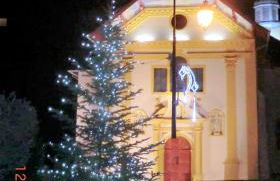 Les Passereaux 2 - Photo 3