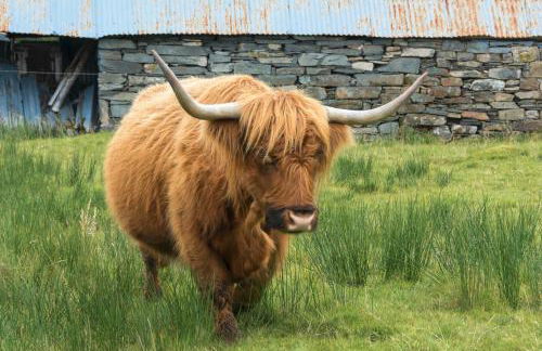 Lann Dearg Studios - Photo 31