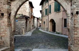 Prato Verde - Girasole - Foto 17