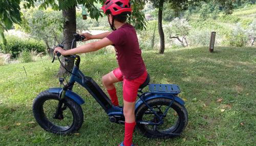 Agriturismo il Bacucco - Foto 4