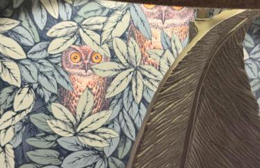 The Menagerie - Photo 14