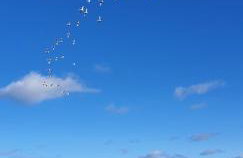 Apartament Zatoka Snów z widokiem na morze 3,5h od Wawy - Foto 49