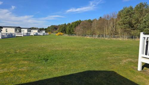 3 Bed-sleeps 8-free Parking-5 Min to Beach - Foto 5, Garden, Garden view