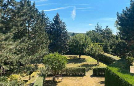 Ferienhaus Himmelsscheibe - Foto 24