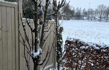 Apartment Wat Moi - Foto 7