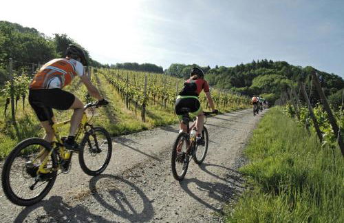 Premium Apartment Kahuna - Villa Rizas Hills - Foto 26