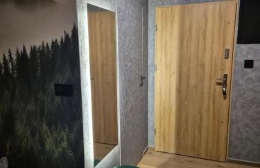 APARTAMENT Z PRYWATNYM GARAŻEM NARCIARSKA 14h - Foto 15