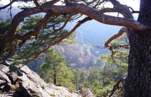 Cozy Garden Retreat Malemort - Foto 28