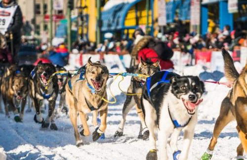 New-Game Room-Nearby Lake-Airport-Family-Bear Haus - Photo 17