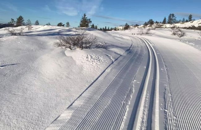 Ski Lodge & Apartments Gautefall - Foto 72