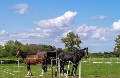 3 Bed in Little Ellingham oc-2147 - Foto 13