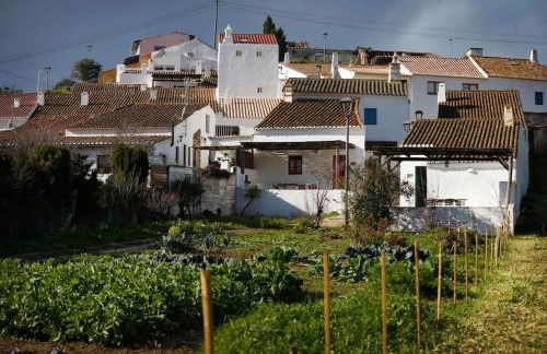 Casa Amado, Aldeia da Pedralva - Photo 35