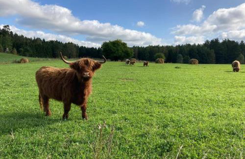 Leśny Zakątek - Mazury - Warmia - jezioro Dadaj - Foto 4