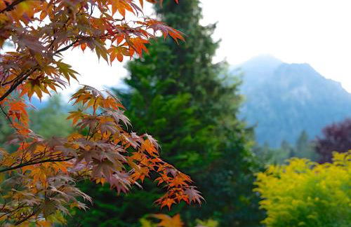 Hubertus Apartments - Foto 13