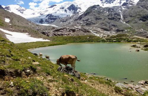 Casa Zebrusius - Zebrusius's App - Foto 35