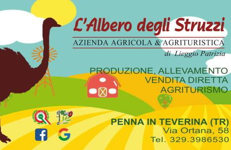 L'Albero degli Struzzi - Foto 17