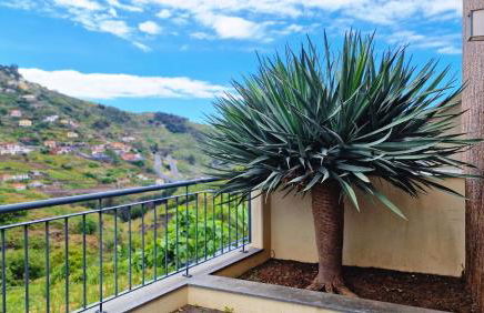 Capela's House by LovelyStay - Foto 46