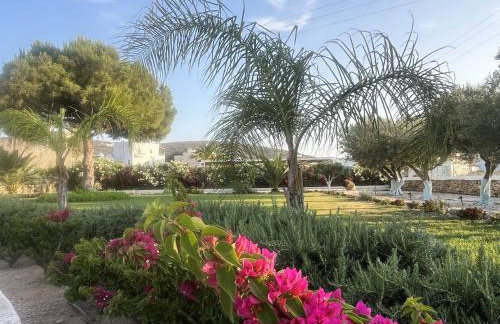 Villa Loretta with pool, jacuzzi and garden - Photo 32