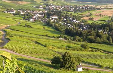 Ferienappartement Hennen - Foto 35