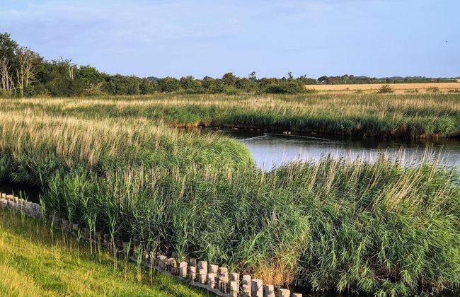 Ferienwohnung Sturmeck, Fehmarn-orth - Foto 26