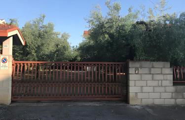 Tra gli ulivi - Foto 2