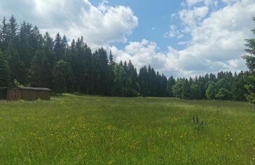 Berghaus am Felsbruch Oberwiesenthal OT Hammerunterwiesenthal - Foto 31