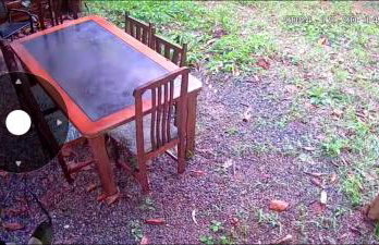 Chalé Refúgio dos Aventureiros Mata Atlântica - Foto 6