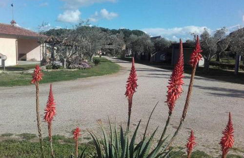 Agriturismo Sa Ruda - Foto 11