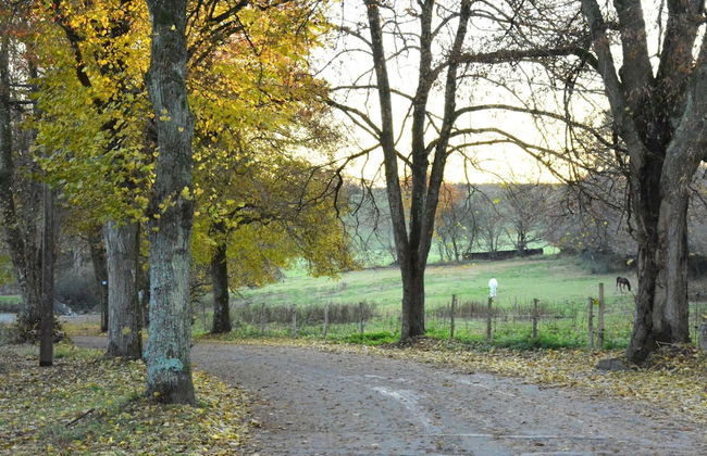 Family fun Near Redu Center - Photo 43