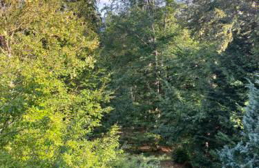 Gite Le Chalet SaintAnthème / Prabouré - Foto 46